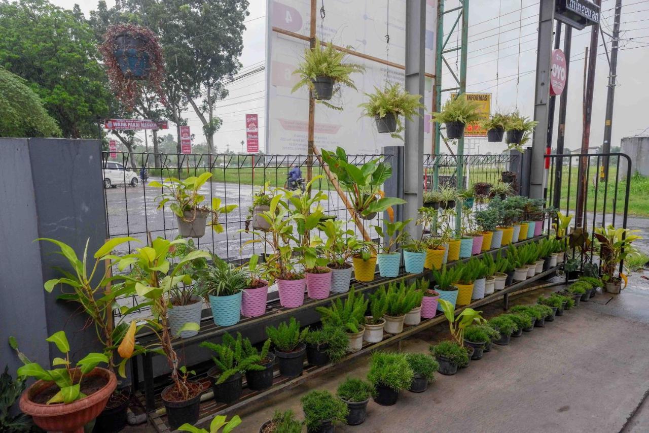 Oyo 3746 Double Tree Guesthouse Purwokerto Exterior foto